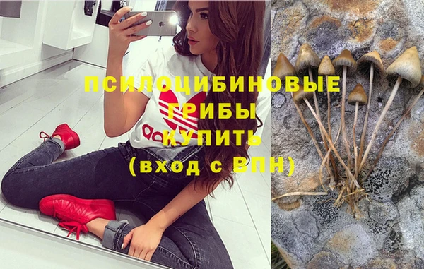 дмт Балабаново