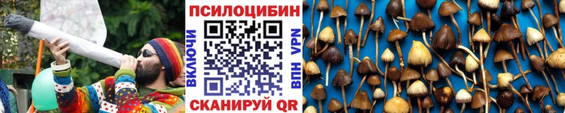 хочу наркоту  Волгореченск  мега ССЫЛКА  Галлюциногенные грибы Cubensis 